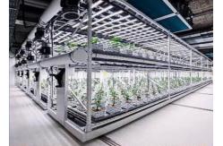 China Custom Aeroponics Hydroponics System For Planting supplier