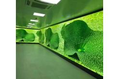 China 1R1G1B Rental Indoor Advertising LED Display 256*128mm Module 6500cd/sqm Brightness supplier