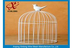 China Galvanized / PVC Coated Welded Wire Mesh Fence For Animal Cages Various Length supplier
