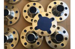 China A182 F53 UNS S32750 B16.5 Super Duplex Ss Flange supplier
