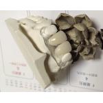 Soft Elastic Nylon Trushine Invisible Denture
