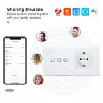 Wifi Wall Smart Plug And Switch Tuya Smart App Light Switch With Plug Combo for sale