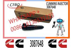 China Cum-mins M11 PT Fuel Injector 3087648 3406604 3071497 4914328 3079946 supplier