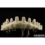 Internal Hex Connection Type Custom Implant Abutments Sandblasted And Acid-etched For Superior Fit for sale