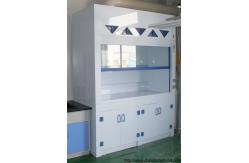 China Chemical Testing PP Fume Hood , Customized PVC Window Laboratory Vent Hood supplier