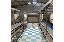 China Sheep Parallel Fast Mode Milking Parlor Equipment Easy To Operate supplier