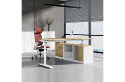 China Modern Electric Height Adjustable Desk Ergonomic Executive Standing Desk supplier