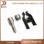 7135-581 Delphi Injector Repair Kit For Injector R00101D Inclueds Nozzle H342 And Valve 9308-625C Applied PSA DW10C for sale