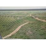 Beautiful Aperture Stainless Steel Cable Netting Wire Mesh Custom Made Size