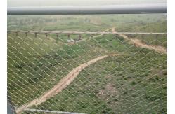 China Beautiful Aperture Stainless Steel Cable Netting Wire Mesh Custom Made Size supplier