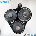 China ASTM Standard Duplex Triplex Quadruplex Service Drop Cable Aluminum ABC Black Cable manufacturer