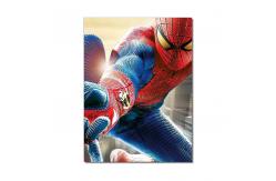 China 3M X 1.5M 3D Lenticular Printing Service PS Board Poster Waterproof supplier