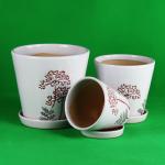 Drainage Ceramic Pots For Round Plants Easy Maintenance