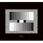 Gray Scale Resolution Test Chart 11 Patches High Accuracy 3nh / Sineimage YE0153 for sale
