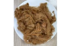 China Recycled Polyester Staple Fiber 2.5D 51mm Yellow Camel supplier