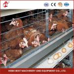 Galvanized Steel Poultry Battery Chicken Cage System For Layer Farm Ada for sale
