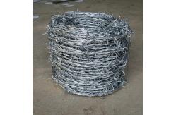 China Galvanized Reverse Twist Barbed Wire Fence Hot Dip Galvanized BWG14xBWG14 supplier