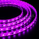 China IP65 Waterproof WS2811 LED Flexible Strip Light - Length 16.4ft RGB Color for sale