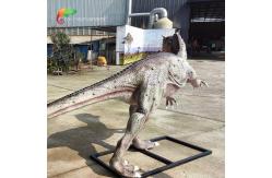 China Amusement Park Large Fibreglass Animals Life Size Allosaurus Animatronic Eco friendly supplier