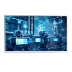 Industrial-Grade 17.3 Brightness Full HD TFT LCD Module 800 Nits 1920x1080 Dual-Channel LVDS RoHS for sale