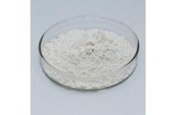 China 1000U/G Glutamine Transaminase For Minced Meat Grilled Sausage supplier