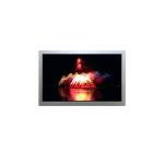 AA101TA02 10.1 inch 1280*800 LVDS TFT LCD display tft lcd screen lcd panel for sale