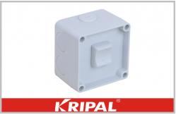 China Single Pole Single Throw Switch Isolator Socket with Surface Mounting supplier