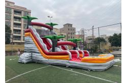 China Palm Tree Double Lane 18Oz Inflatable Water Games Slide supplier