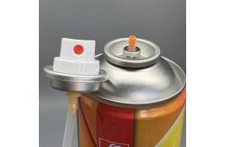 China  Gentle Foam Cleaner Valve for Sensitive Skin with Ultra-Soft Dispensing supplier