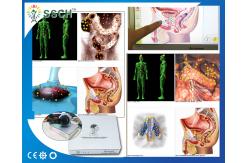 China Body Analyzer Metatron NlS Hunter Version supplier