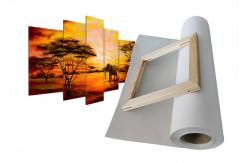 China Pigment And Dye Inkjet Cotton Canvas 410gsm Matte Large Format Printing supplier