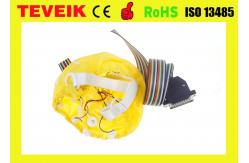 China High Precision EEG Electrode Cap With Different Sensor 20 ~ 128 Channels supplier