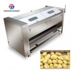 380KG Stainless steel wool roller peeling cleaning machine turnip automatic fruit and vegetable peeling for sale