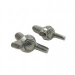 SS304 Wing Bolt Butterfly Screw for sale