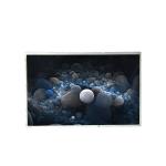 B133EW03 V0 13.3 inch 1280*800 TFT-LCD Screen Display for sale