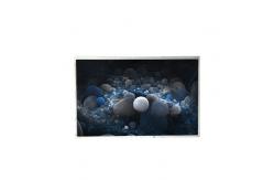 China B133EW03 V0 13.3 inch 1280*800 TFT-LCD Screen Display supplier