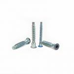 Crown Mark Self-Tapping Cross-Thread Screw Countersunk Hexagon Straight for sale