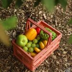 Handle Plastic Basket Organizer for sale