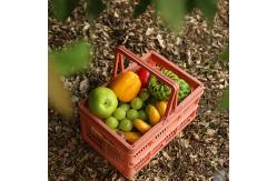 China Handle Plastic Basket Organizer supplier