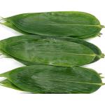 Green Fresh Sushi Rolling Bamboo Leaf 5-11 cm for Rice Dumplings for sale
