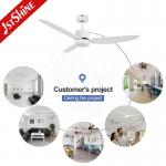 DC Ceiling Fan With Remote Control Plastic Blades High-Speed