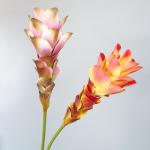 Simulated Flowers, Ginger Flowers, Lotus Flowers, 3D Printing, Texture Flowers, Home Decor, Model Room Decoration, Wedding Scenery Props, Bouquet for sale