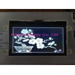 19264 Dots LCD Module Cog Transflective Mono Va LCD Display RY19264 Graphic