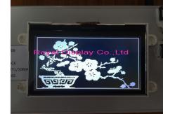 China 19264 Dots LCD Module Cog Transflective Mono Va LCD Display RY19264 Graphic supplier