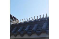 China Thickness 2mm Fence Security Spikes Length 1.25m Barbed Wire Spikes supplier