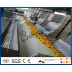 Orange Juice Factory Orange Juice Processing Plant With Juice Extraction Equipment for sale