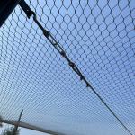 7x19 Stainless Steel Bird Aviary Net - Diamond Protection Mesh for Zoo Enclosures for sale