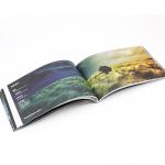 PSD C1S Instruction Booklets Manual Guide Glossy Matte Varnishing 500pcs for sale