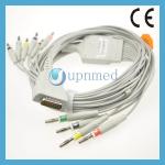 Fukuda one-piece 10-Lead EKG cable with leadwires for sale