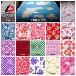1200mm 1219mm 1250mm PPGI PPGL Ral Color Galvalume Steel SGCC Dx51d G550 PE PVDF Coated for sale
